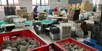 Their parents made China the world's factory. Can the kids save the family business?