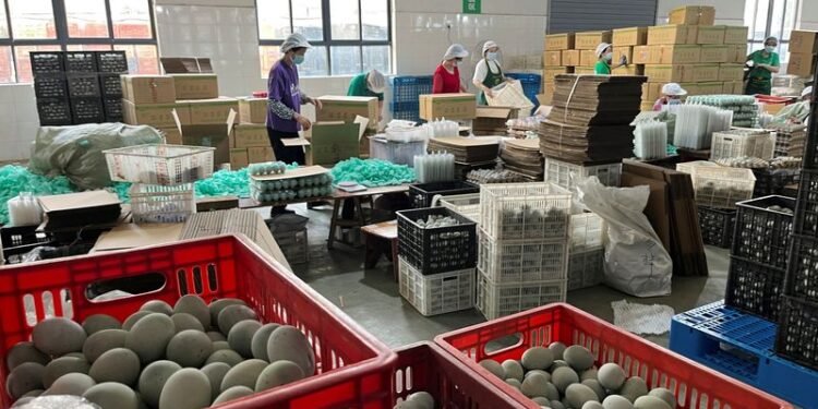 Their parents made China the world's factory. Can the kids save the family business?