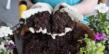 Why You Don’t Need to Sterilize Your Soil