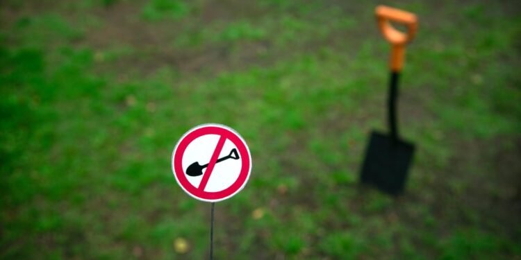 You Should Try No-Dig Gardening