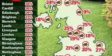 Not buying it: Bristol is the city in the UK the most in support of a ban, while those in Newcastle are the least bothered by fake lawns