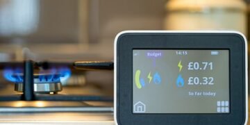 Smart delay: Our reader moved into a new home which didn't have an in-home smart display and British Gas said they could not provide a new one as it was out of its 12-month warranty