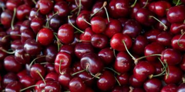 CherryBlos Malware Uses OCR to Pluck Android Users' Cryptocurrency