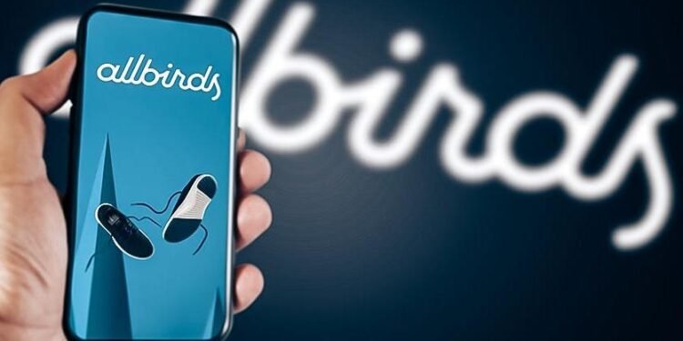 Footwear Sensation Allbirds’ Second Chance