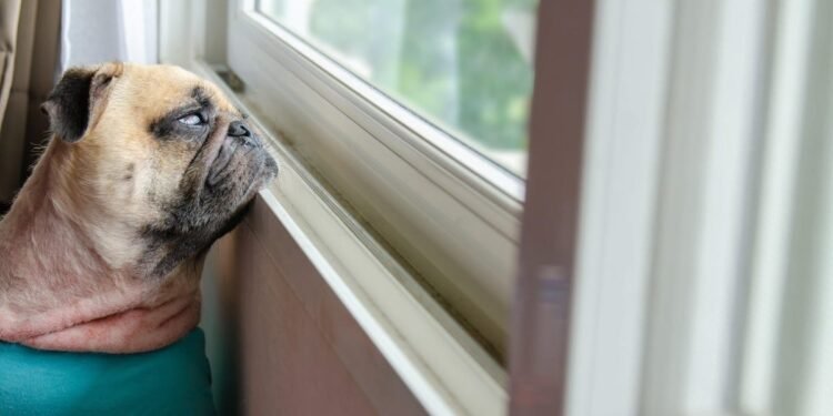 How to Survive the Summer When Summer Makes You Miserable