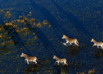 Condé Nast Traveler