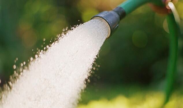 Washout: South East Water imposed a hosepipe ban for customers in Kent and Sussex last month - blaming working from home for increasing drinking demand