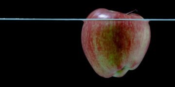 Stock Market Still Underwater - Apple Floats At 0% Return Level