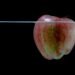 Stock Market Still Underwater - Apple Floats At 0% Return Level
