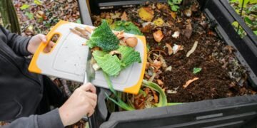 The Five Laziest Ways to Compost