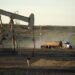 US crude oil gains on supply cuts, focus shifts to holiday demand By Reuters