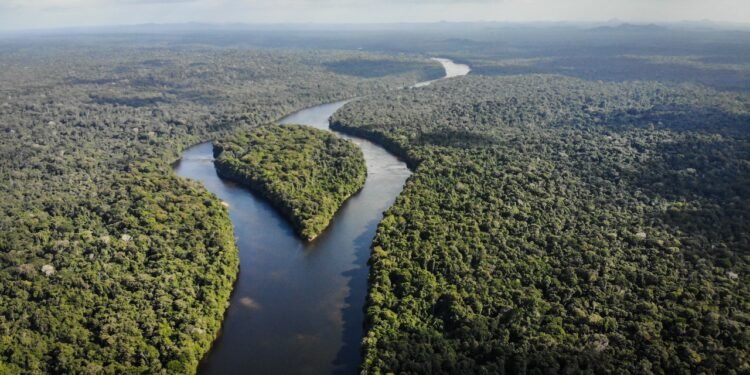 Condé Nast Traveler