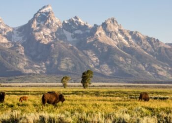 Condé Nast Traveler