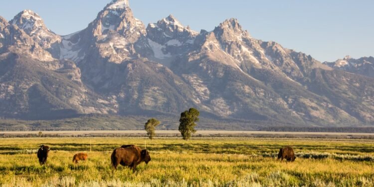 Condé Nast Traveler