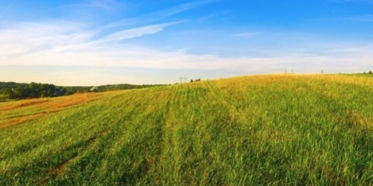 2023 Investment Guide • Benzinga