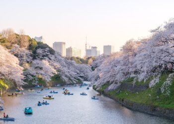 27 Best Things to Do in Tokyo for Every Type of Traveler