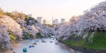 27 Best Things to Do in Tokyo for Every Type of Traveler