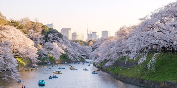 27 Best Things to Do in Tokyo for Every Type of Traveler