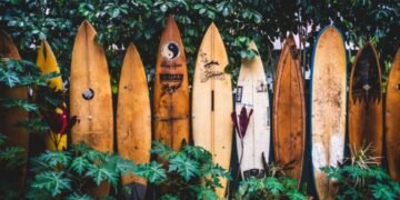 Best Business Insurance in Hawaii • Custom Quotes • Benzinga