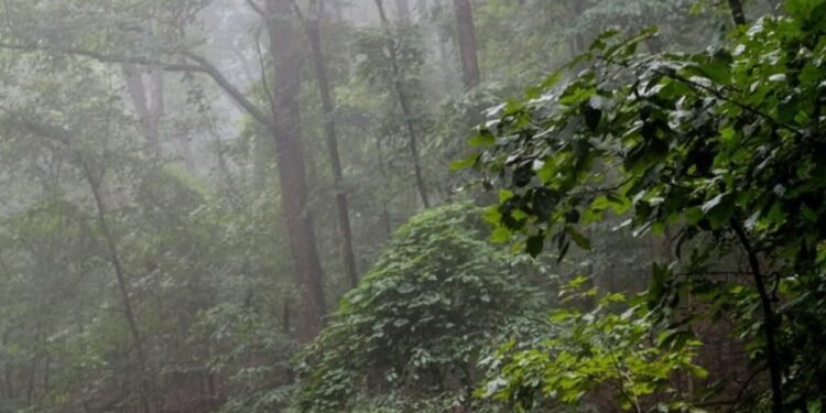 Best Personal Loans in Georgia 2020 • Benzinga