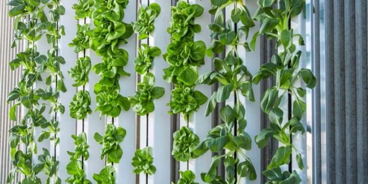 Best Vertical Farming Stocks - Benzinga