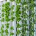 Best Vertical Farming Stocks - Benzinga