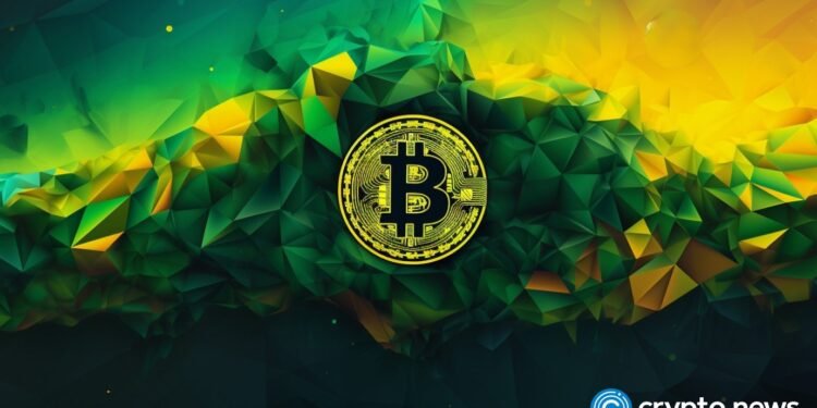 Bitcoin briefly touches $30k amid whale transactions