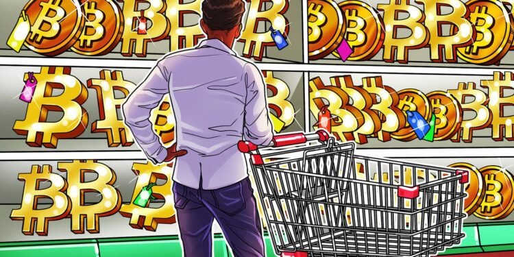 Bitcoin on the way to 'bearadise?' $20K is back as a BTC price target
