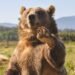 Dow Jones Futures: Bears Rule As More Leaders Crack, But Ultimate AI Stock Nvidia Fights On