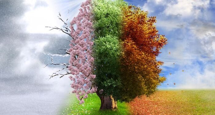 FA2B: Financial planning in four seasons