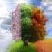 FA2B: Financial planning in four seasons