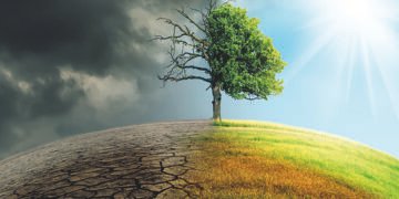 Finance industry urges government to give clarity on green policies