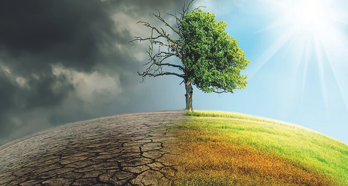 Finance industry urges government to give clarity on green policies