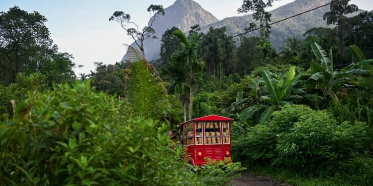 Condé Nast Traveler