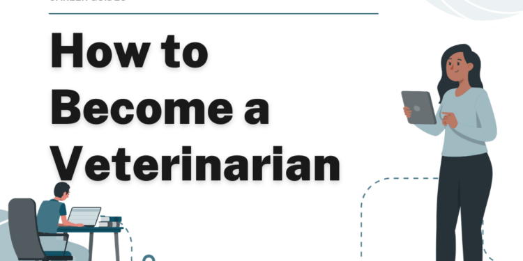 How to Become a Veterinarian – Career Sidekick