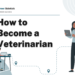 How to Become a Veterinarian – Career Sidekick