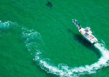 Condé Nast Traveler