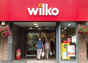 Wilko fell into administration last week - putting 12,000 jobs and 400 stores at risk