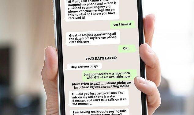 New warning over 'hi mum' scam: How fraudsters have sunk to new depths in bid to con cash from vulnerable Brits