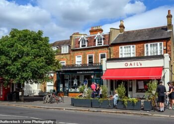 Traffic restrictions in Dulwich Village led to 43,108 penalty notices worth £2.9million in fines