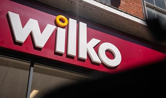Collapse: Budget homewares retailer fell into administration last week, leaving 12,000 jobs, 400 stores and the Wilko name in the lurch