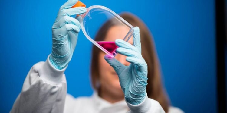 Staying out of Horizon would harm British science