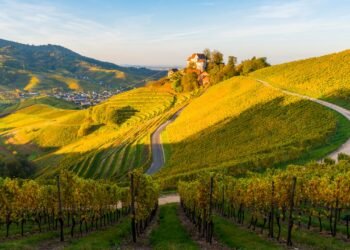 Condé Nast Traveler