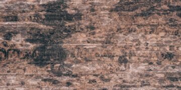 The Best Way to Clean Mold From Wood Furniture