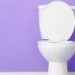 The Most Effective Ways to Prevent Clogs in Low-Flow Toilets (and Why They're So Common)