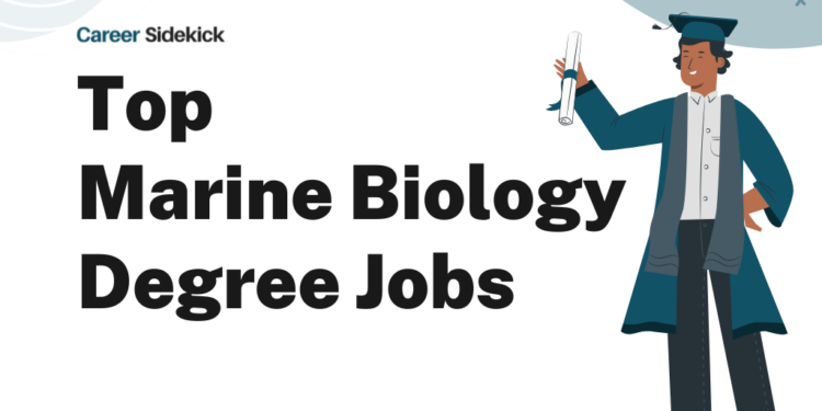 Top 15 Marine Biology Degree Jobs – Career Sidekick