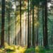 When sustainable investment doesn't have the impact you think