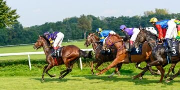 risk management, horse racing