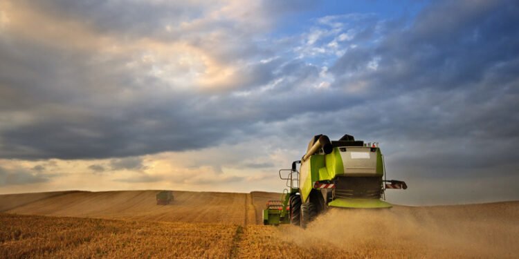 Argentina wheat sales stall as farmers wait for election, rains By Reuters