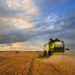 Argentina wheat sales stall as farmers wait for election, rains By Reuters